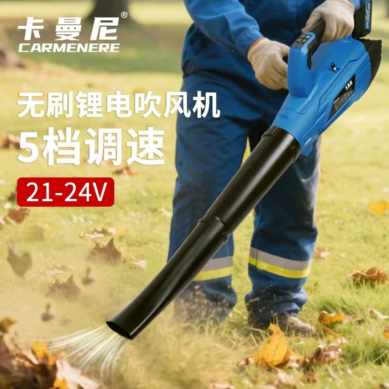 大棚吹雪机手提式风力灭火机大功率工地用鼓风机农村家用园林工具