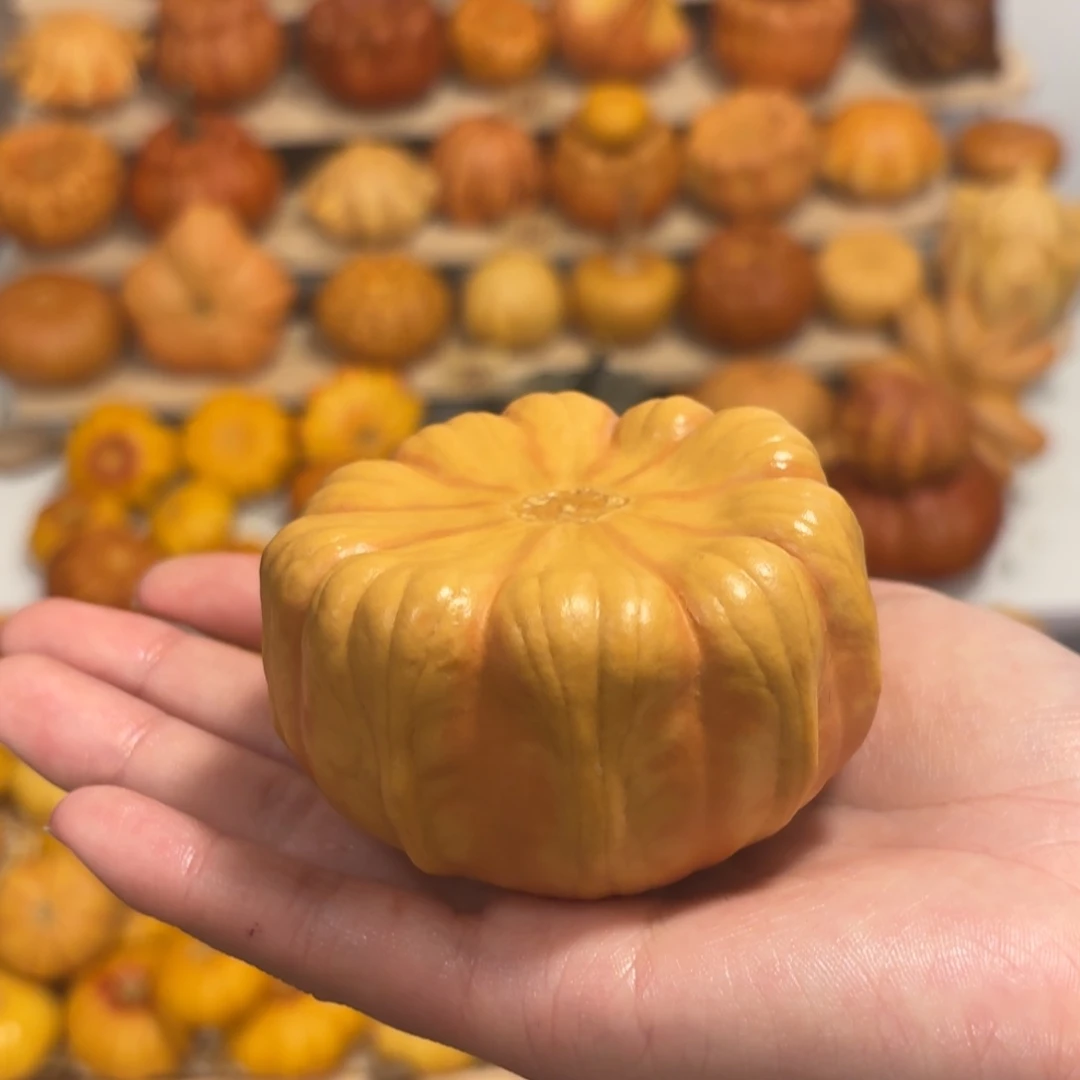 双色响籽聚宝盆干货