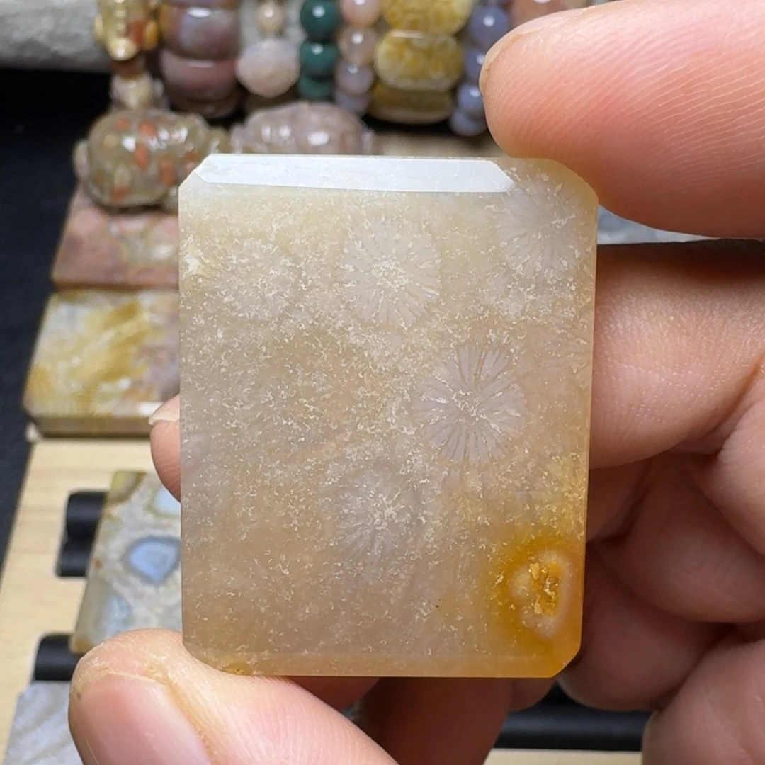 硅化玉未镶嵌纯天然色有机玉石保真色