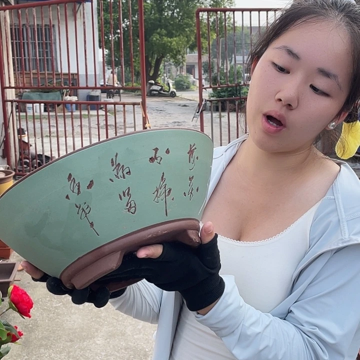绿斗篷点彩大花盆花盆花盆