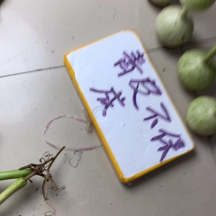 辉***大叶紫檀（黑酸枝木类）