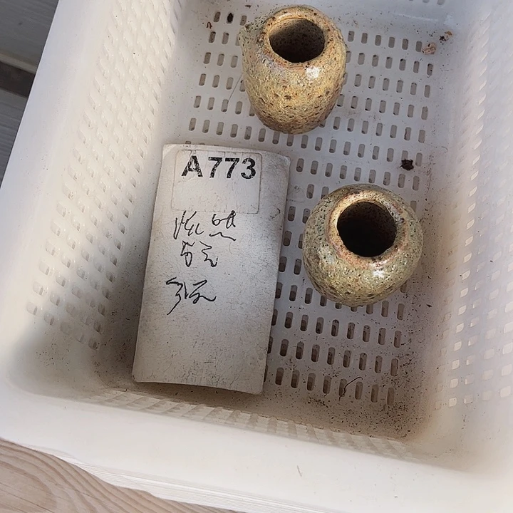 我****~773密密麻麻买买买