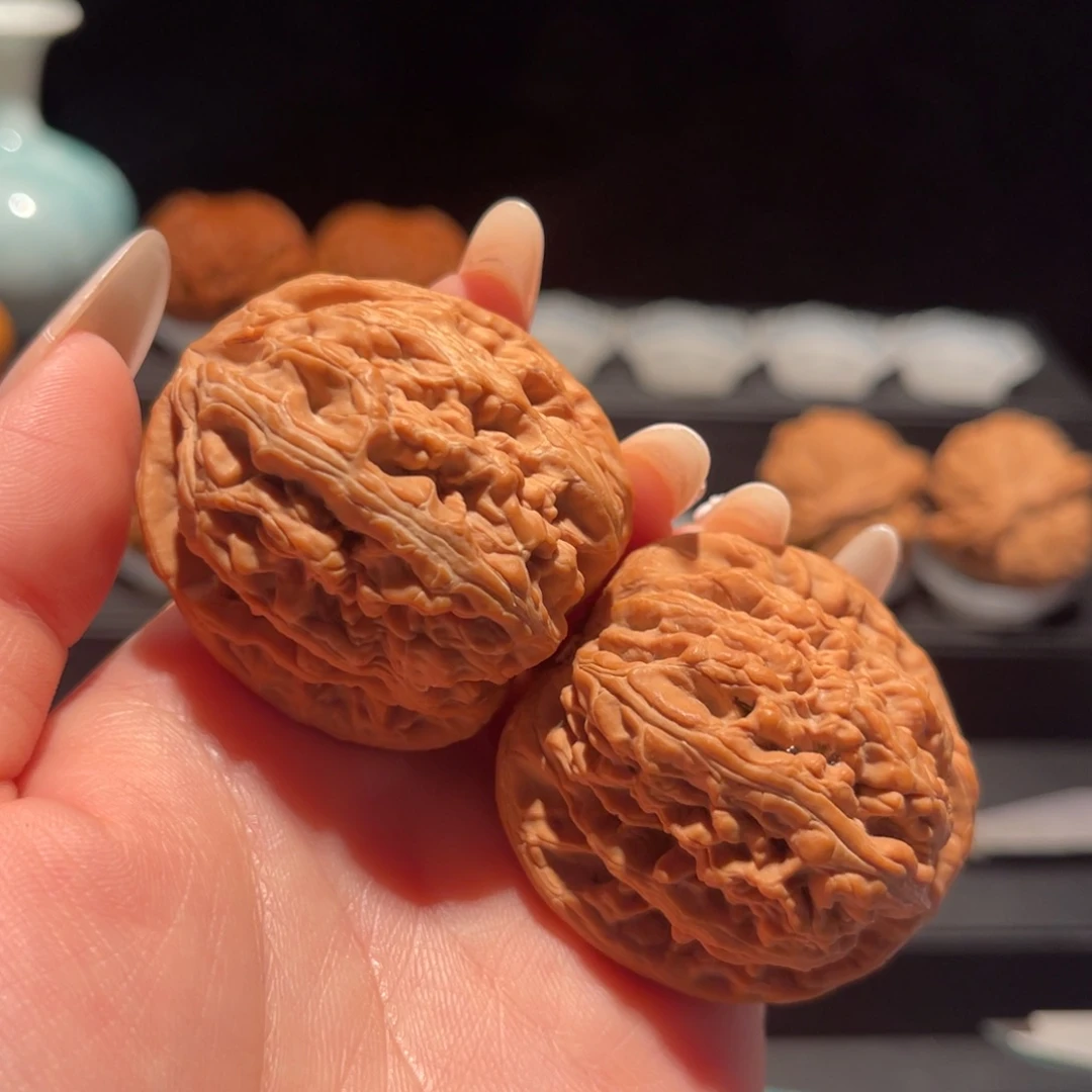 及***樂红锦鲤43➕，精品，全品