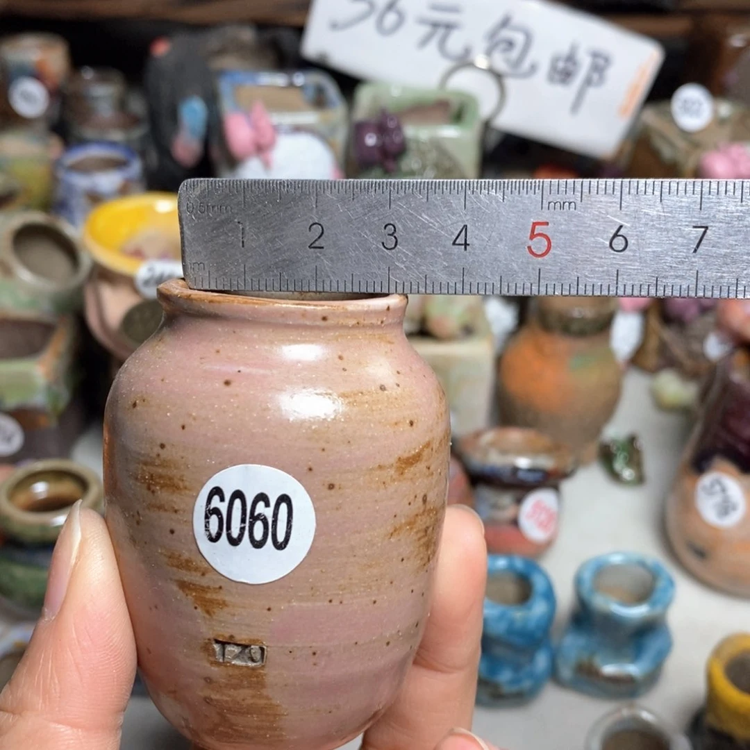 拍5送一个小礼物