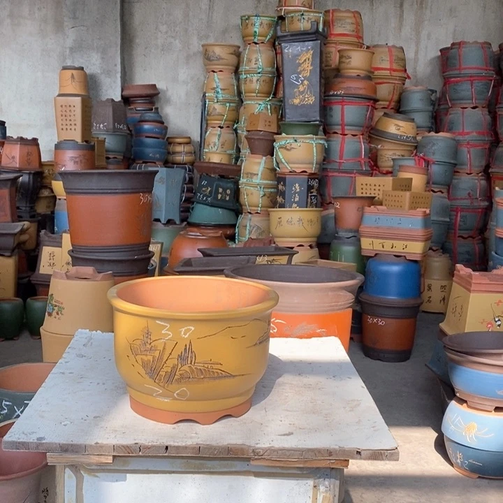 紫砂花盆盆栽花卉苗木种植