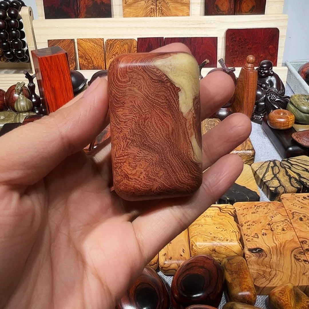 皮***嘟小叶羊蹄甲手把一个