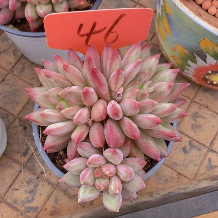 是吗这不还没有下班我