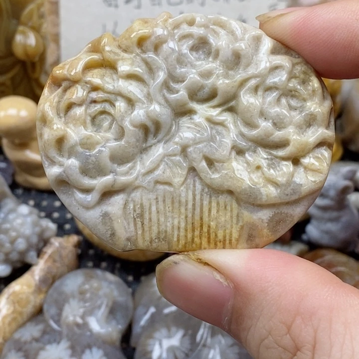 颈饰未镶嵌硅化珊瑚（珊瑚玉）