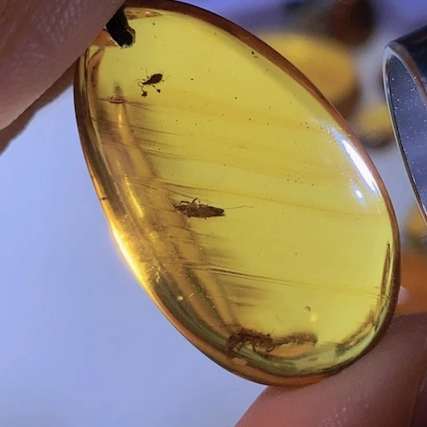 琥珀颈饰未镶嵌一珀多虫吊坠