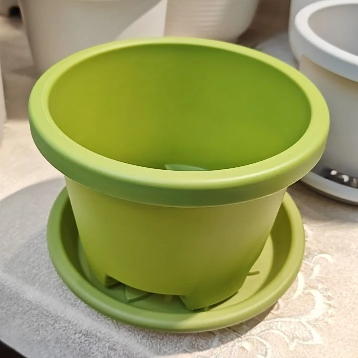 树脂球根二号外口径16.5，果绿带托五个