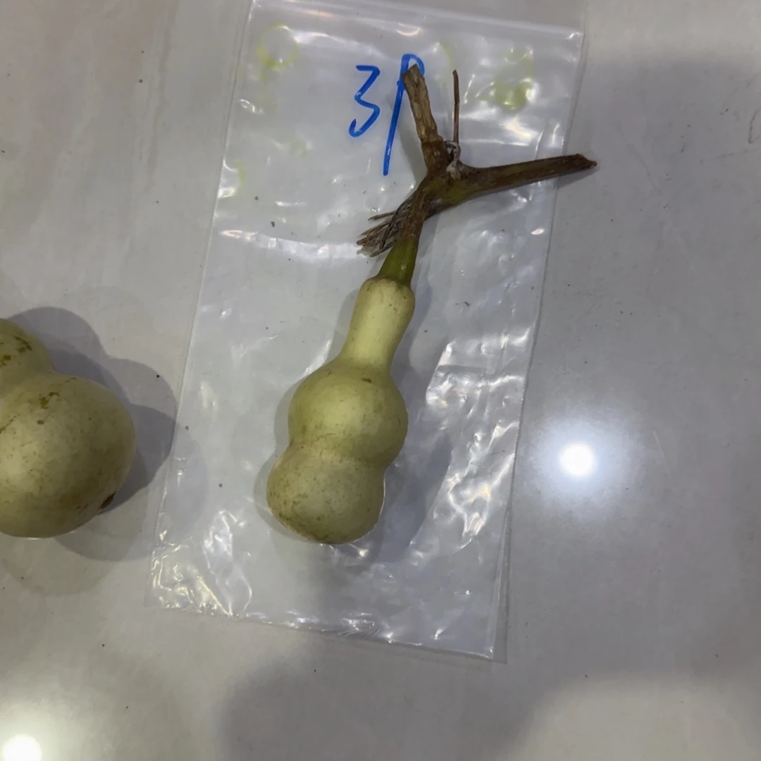 圆***满青皮不包成青皮不包成