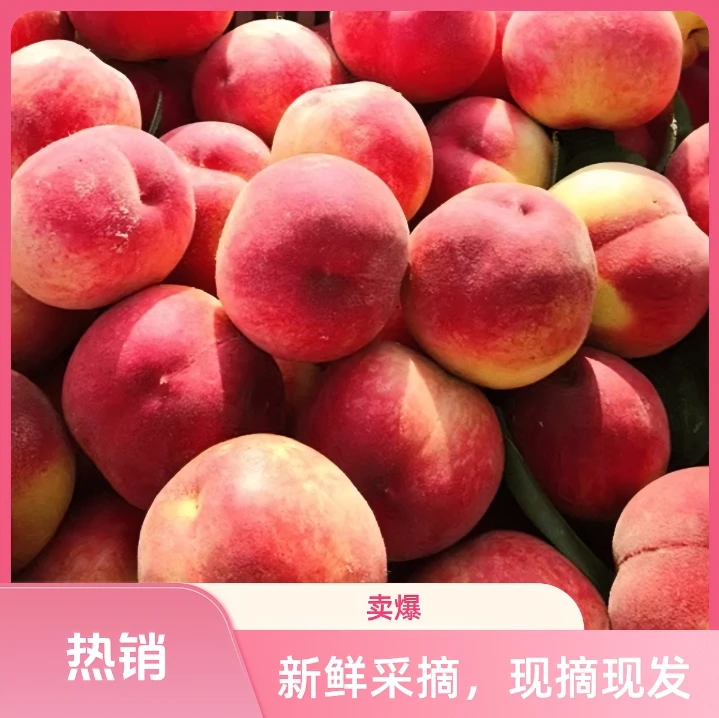 【产地直发】新鲜采摘”脆甜1号“高山脱骨桃香甜多汁皮薄肉厚脆桃