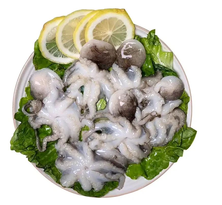 连云港发货  短腿八爪鱼 美味海鲜  2斤/4斤