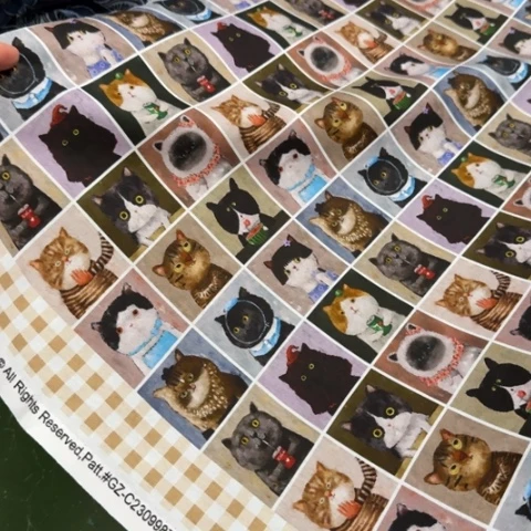 纯棉平布1米价X1.1宽28.10