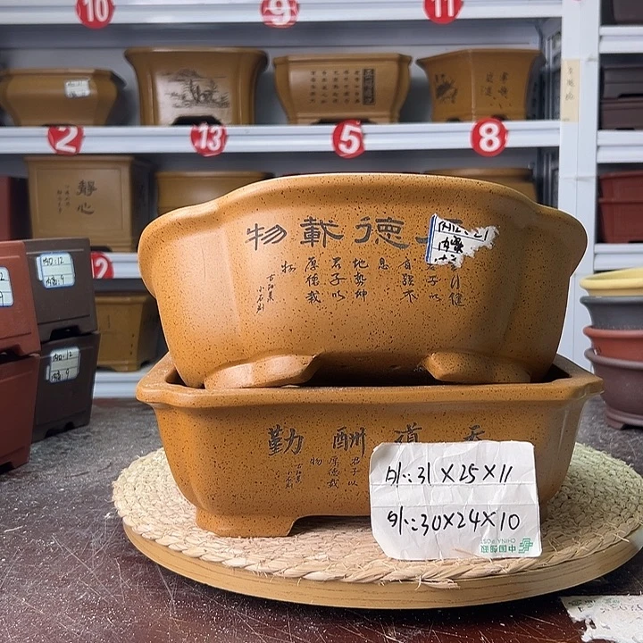 紫砂花盆蛇年大吉