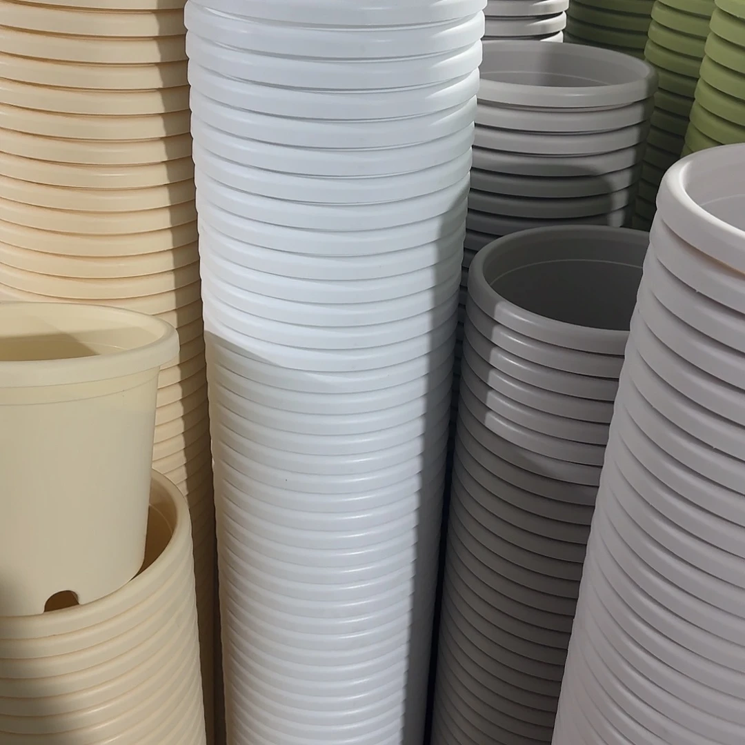 微瑕4号5个无托，白色