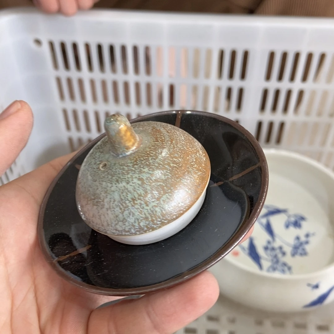 杯直播链接直播链接