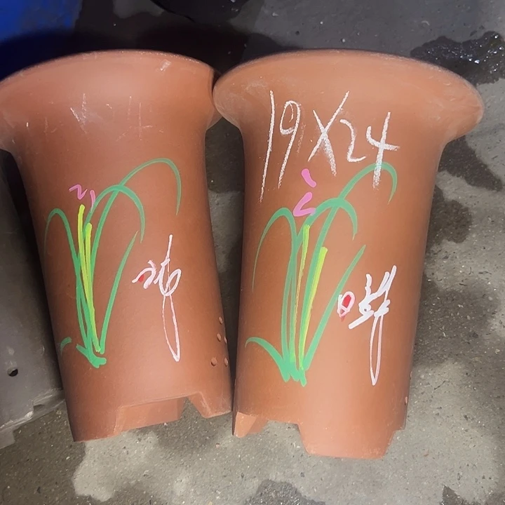 周深周深周深周深周深