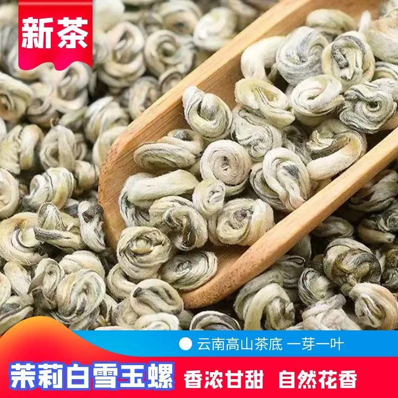 2025年新茶茉莉花茶  白雪玉螺浓香耐泡