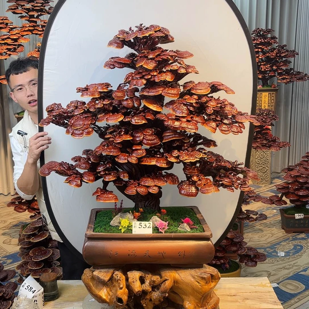 无花朵88888888889