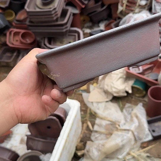 这一期太有意思咯嘛啊太开心