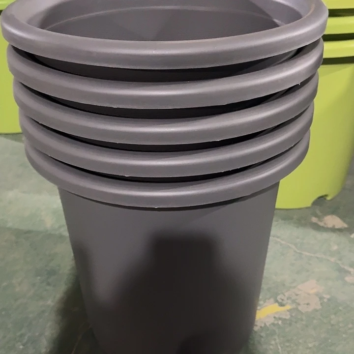 编号编号编号2159