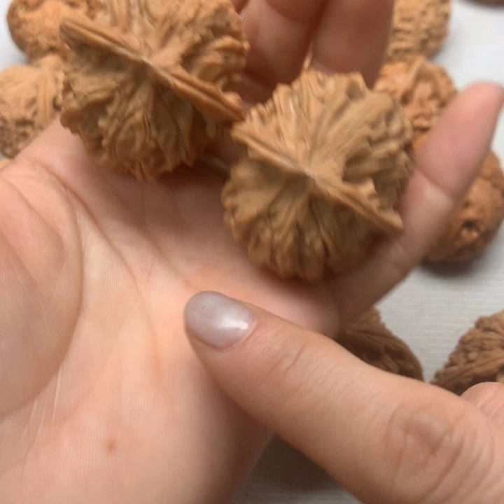 文玩核桃把件全品天地40