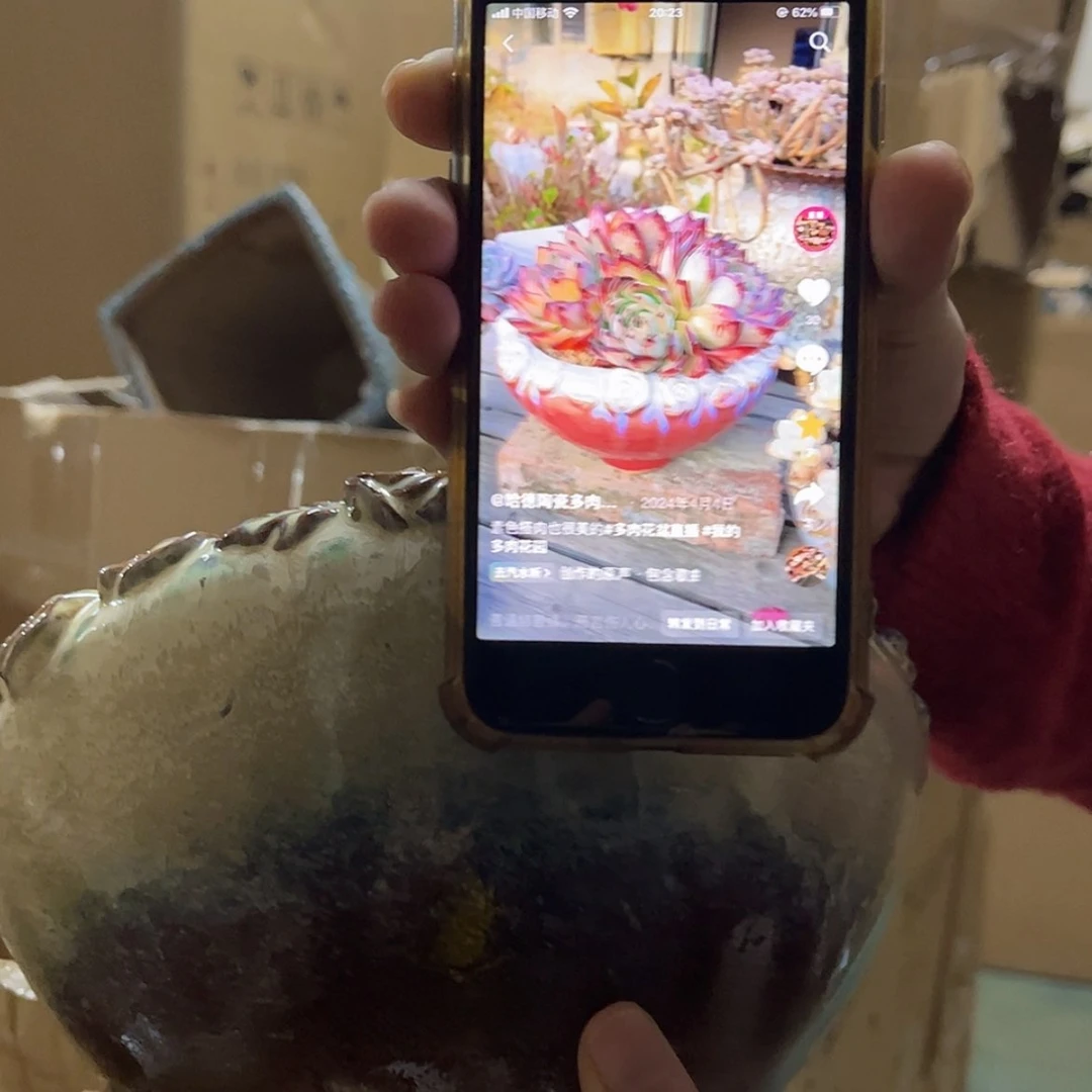 【闪购商品】红陶福利