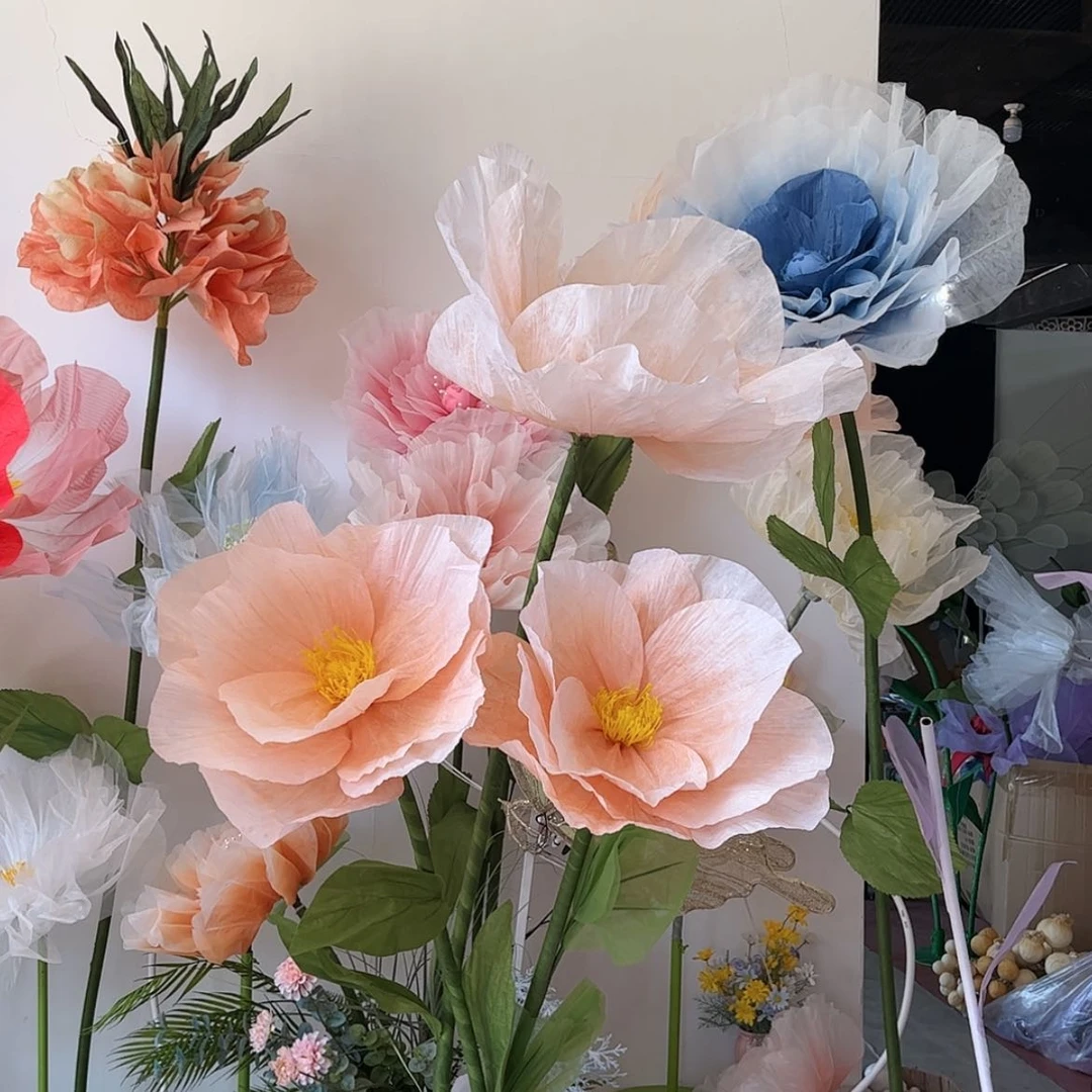 【闪购商品】一整套