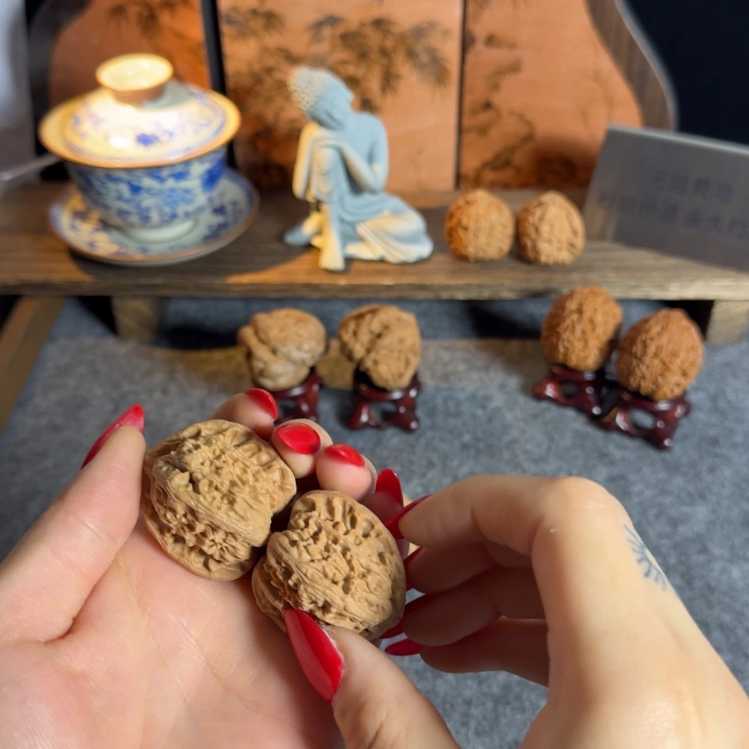 全品35白狮子不打药老树不退换