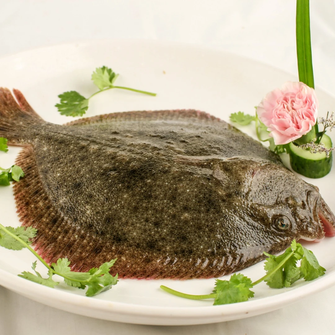 多宝鱼约650g-默认处理