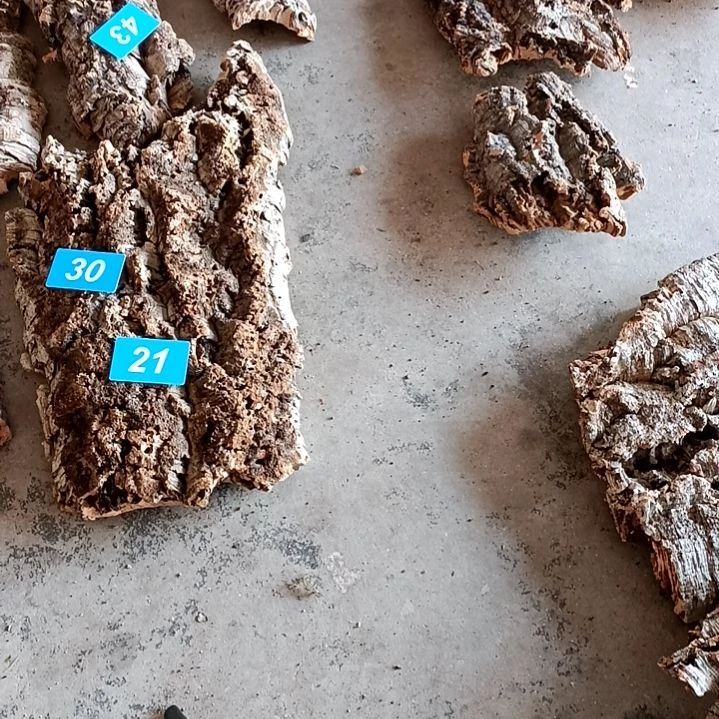 木一物一拍一物一发