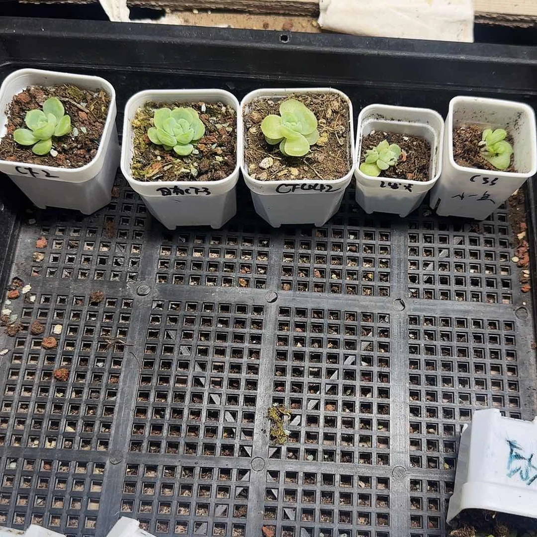 6月2日财富5件盆满25包邮