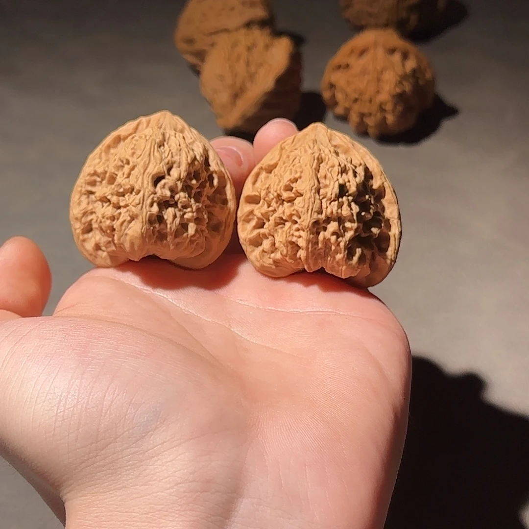 大叶紫檀（黑酸枝木类）