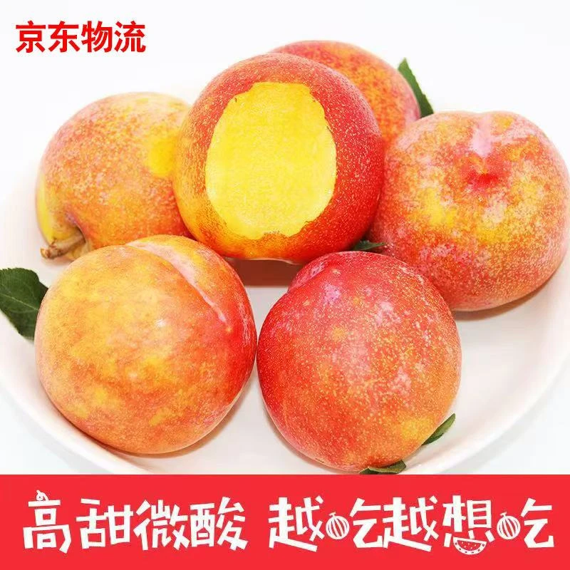 东北当季新鲜红八一脱骨酸甜可口黄心水果