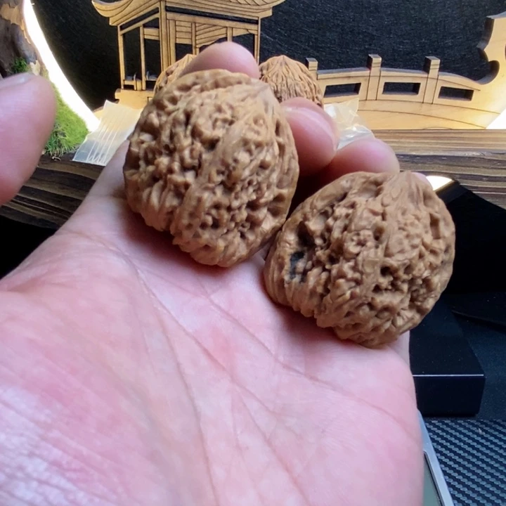 骑***牛文玩核桃把件38原树对歪