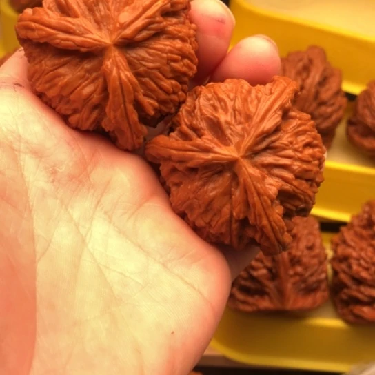 自***度核桃核桃，短核桃核桃