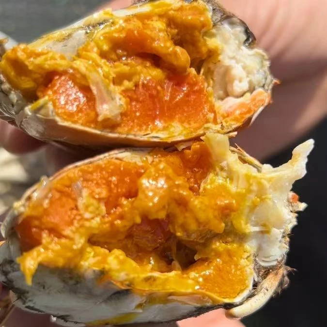 【母蟹2.8-3.1两】  顺丰发货 鲜活大闸蟹全母8只 死蟹、无黄包赔