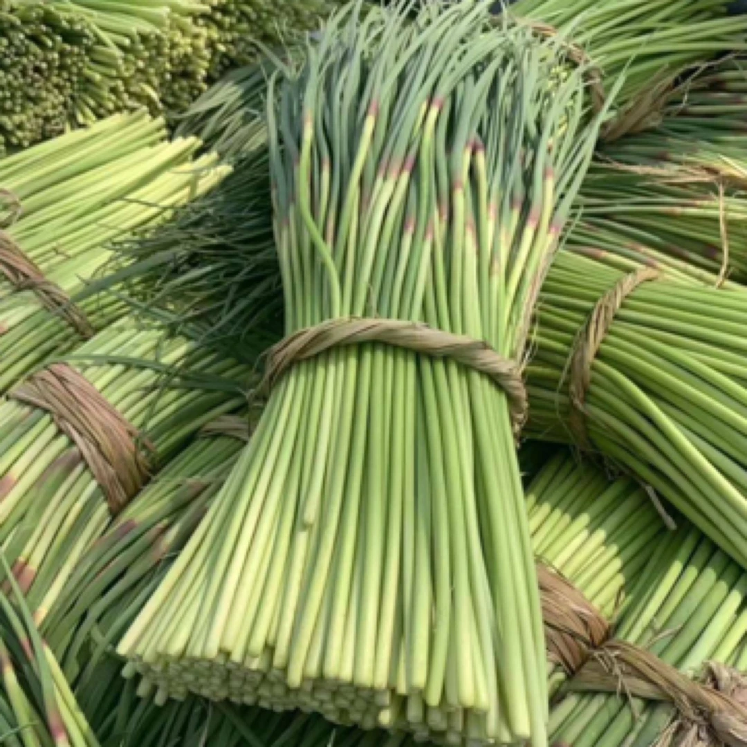 2024年（6-7月份采摘）新蒜苔地窖储存红帽蒜苔5斤蒜香浓郁