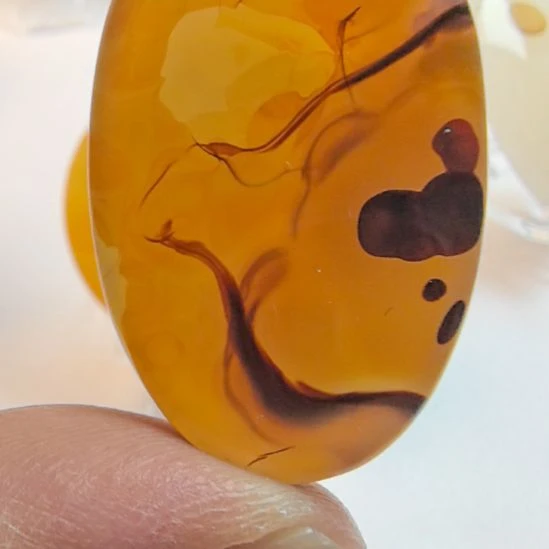 非金属时尚配饰可观赏配带