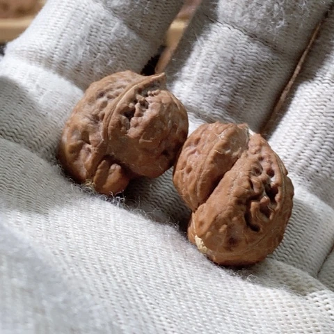 文玩核桃把件米*鸟