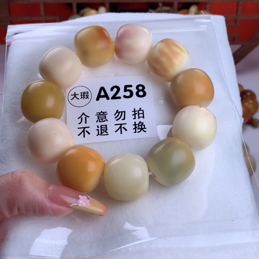 菩提根/象牙果吊坠小*