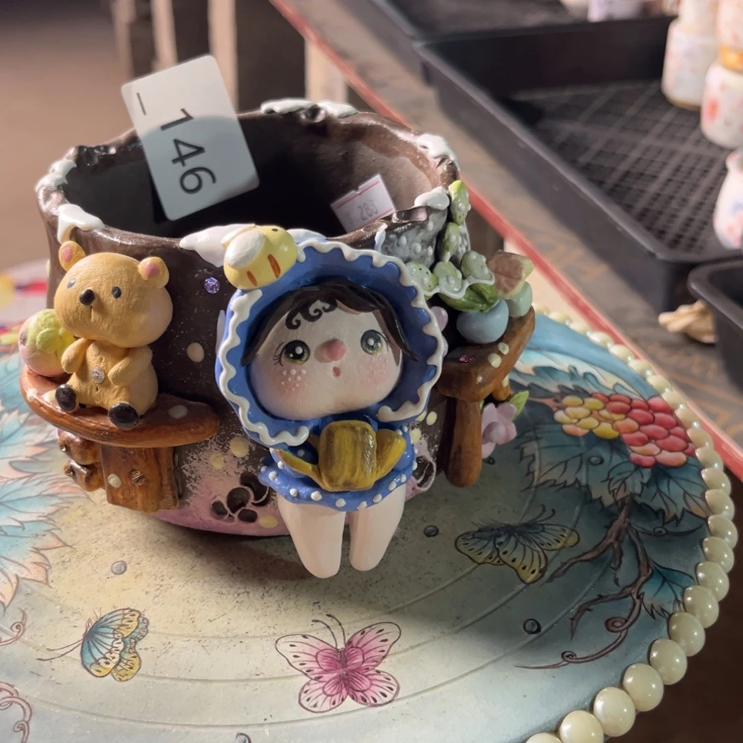 ****着146多肉花盆   1个