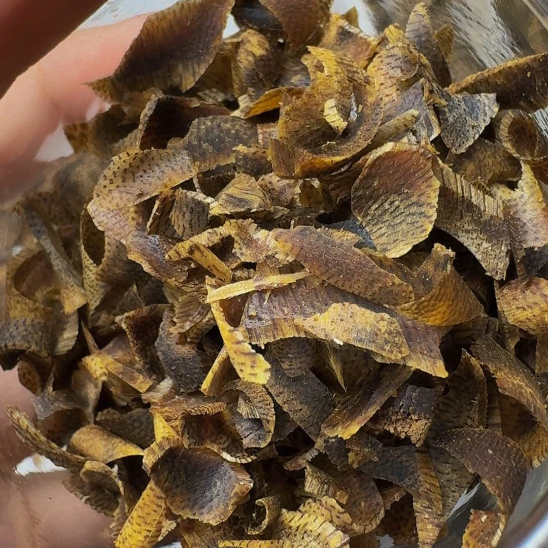 沉香沉香碎屑宁*爷东江绿红棋切片10克