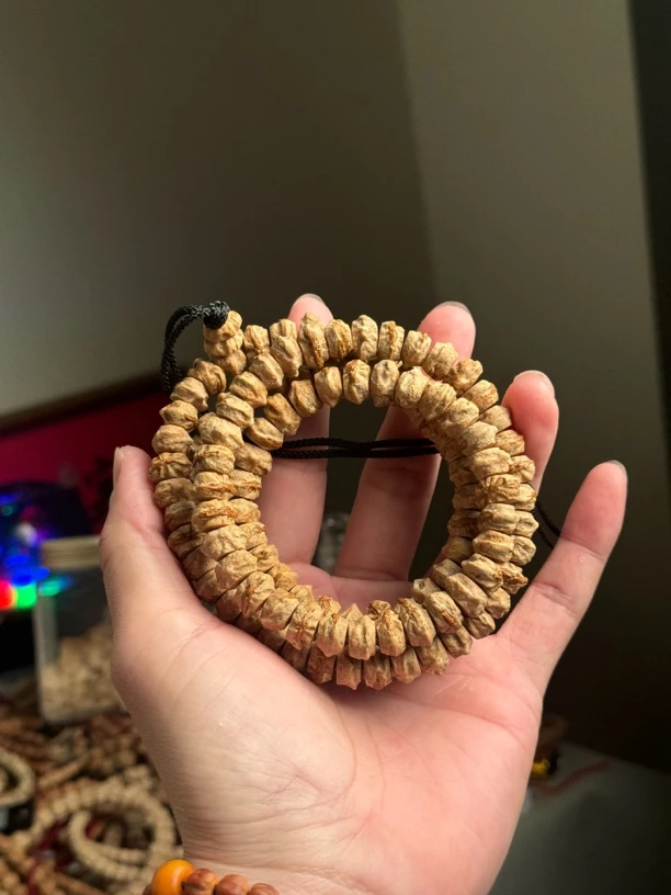 柏香籽超大尺寸红芽横打直切