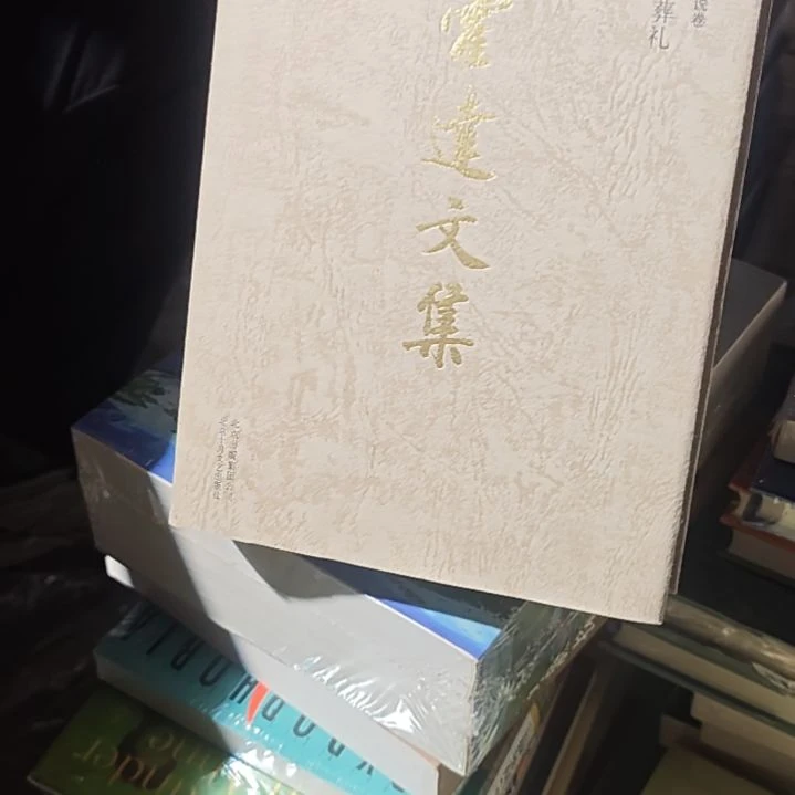 霍达文集（穆斯林的葬礼）务必塑封