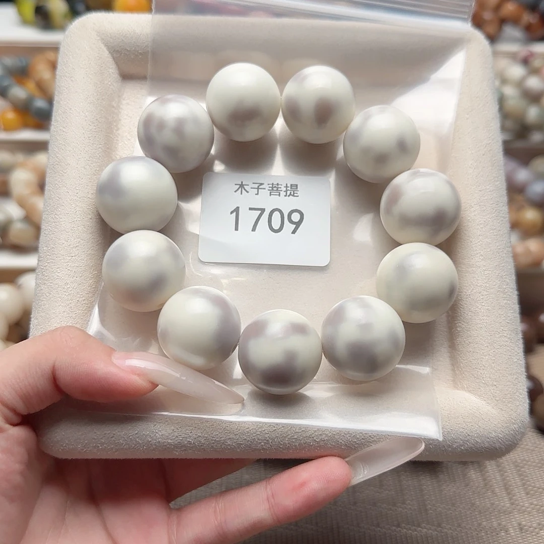 吊坠菩提根/象牙果y*u1709