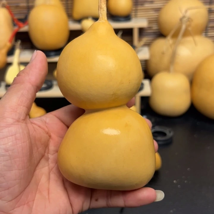 米**915588855696666666