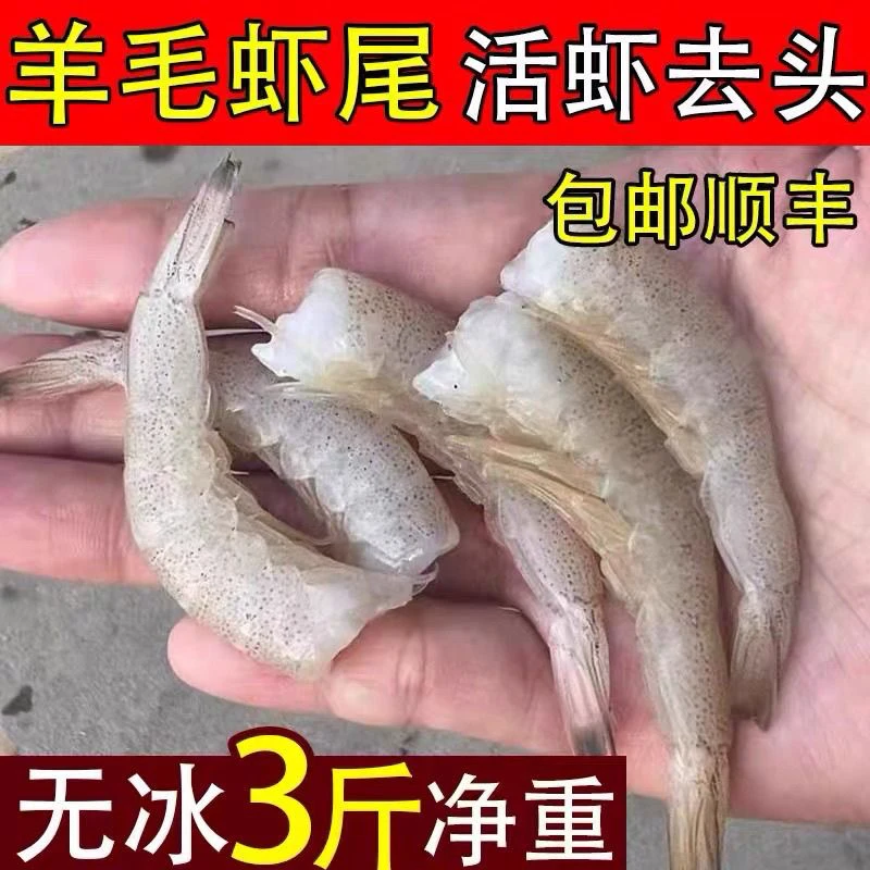野生羊毛虾去头虾尾3斤净重新鲜现剥顺丰次日达海鲜
