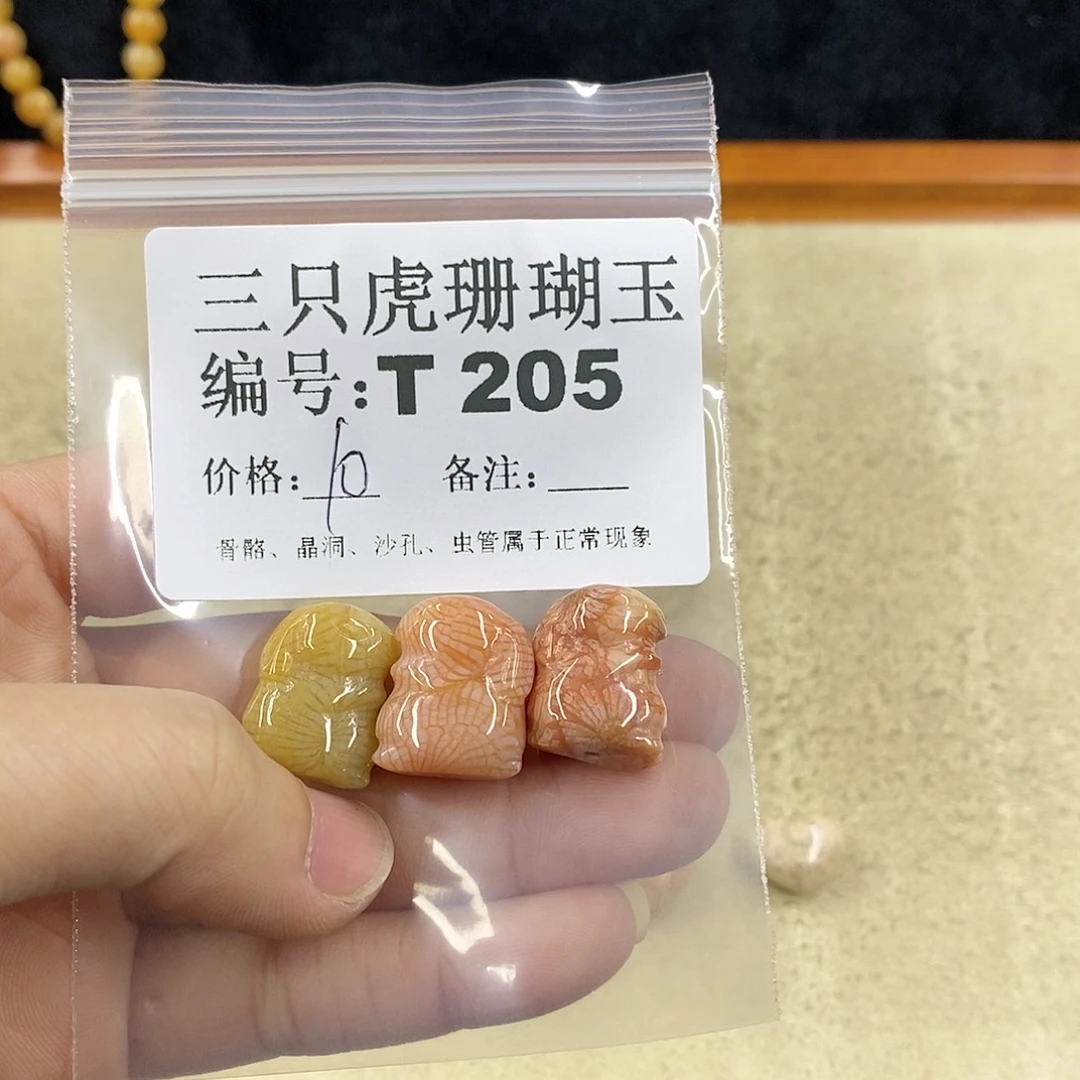 硅化珊瑚（珊瑚玉）1未镶嵌初**蛰